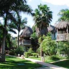 Las Palapas 4*