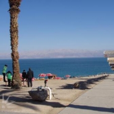 Ein Gedi 4*