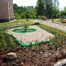 «Истра», санаторий