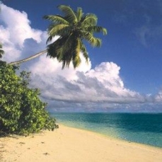 Alphonse Island Resort 4*
