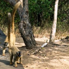 Anjajavy 4*