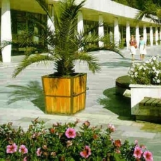 Hotel Kolonada 4*