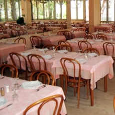 Brown Atrium 3*