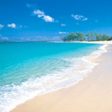 The Reef Atlantis hotel 5*