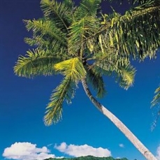 Le Taha`a Private Island & Spa 5*