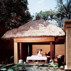 Amandari Ubud boutique 5*