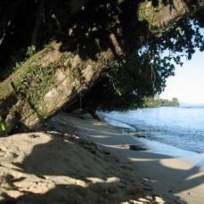 Maravu Plantation Resort 4*