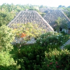 Bluebay Beach Resort 5*