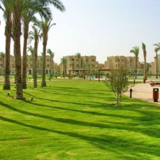 Pyramisa Blue Lagoon 5*