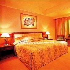 Hanoi Horison Hotel 4*