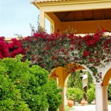 Vila Monte Resort 5*