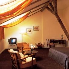 Leonardo 4*
