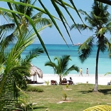 Paradise Sun 4*