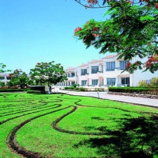 Dreams Beach Resort 5*