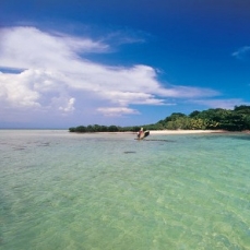 Dolphin Island Resort 5*