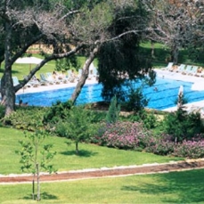Carmel Forest Spa Resort 5*