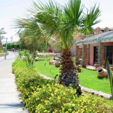 Coral Sea Imperial Resort 5*