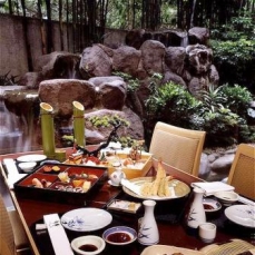 Hotel Nikko Mexico 5*