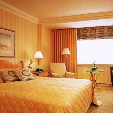 InterContinental Wien 5*