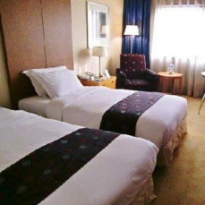 Grand Ambassador Seoul 4*
