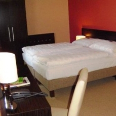 Hotel Manes 4*