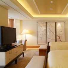 Lotte Hotel Seoul 5* de Luxe