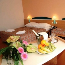 Hotel Karlin 3*