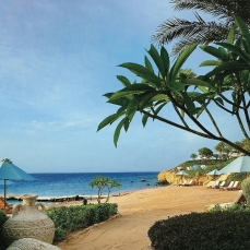 Four Seasons Resort Sharm El Sheikh 5*