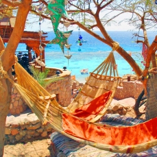 Club El Faraana Reef 4*