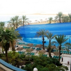 Golden Tulip Club 4*