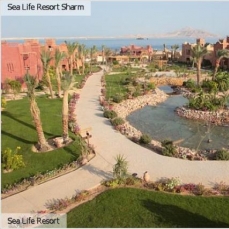 Sea Life Resort 4*