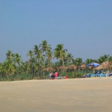 Majorda Beach Resort 5*