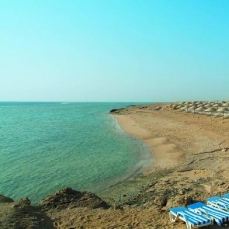 Sea Life Resort 4*