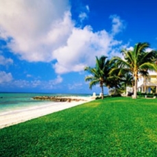 The Westin and Sheraton at Our Lucaya Beach & Golf Resort 5*