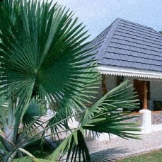 La Reserve  4*