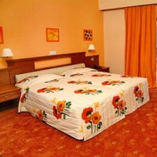 Anesis 3*