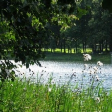 «Удельная», санаторий 