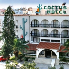 Cactus 2*