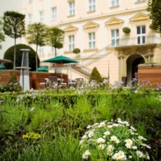 Kempinski  Hybernska Prague 5*