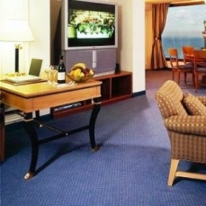 David Intercontinental 5*