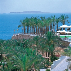 Reef Oasis Beach Resort 5*