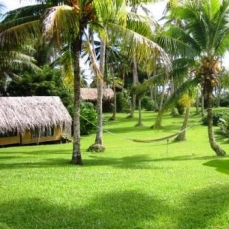 Maravu Plantation Resort 4*