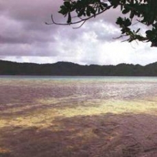 Matangi Private Island Resort 4*
