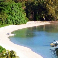 Le Jardin des Palmes 4*