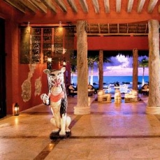 Zoetry Paraiso de la Bonita 5*