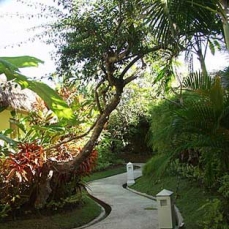 Mimpi Resort Menjangan boutique 5*