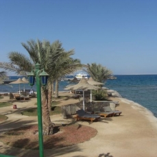Desert Rose Resort 5*