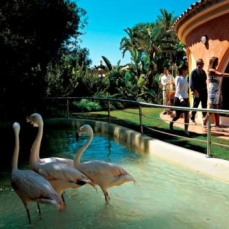 Forte Village Resort Il Borgo 4*