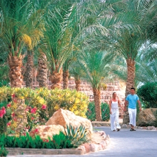 Reef Oasis Beach Resort 5*