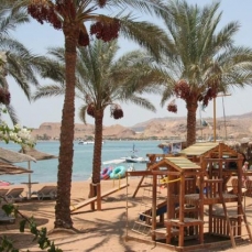 Seti Sharm 4*